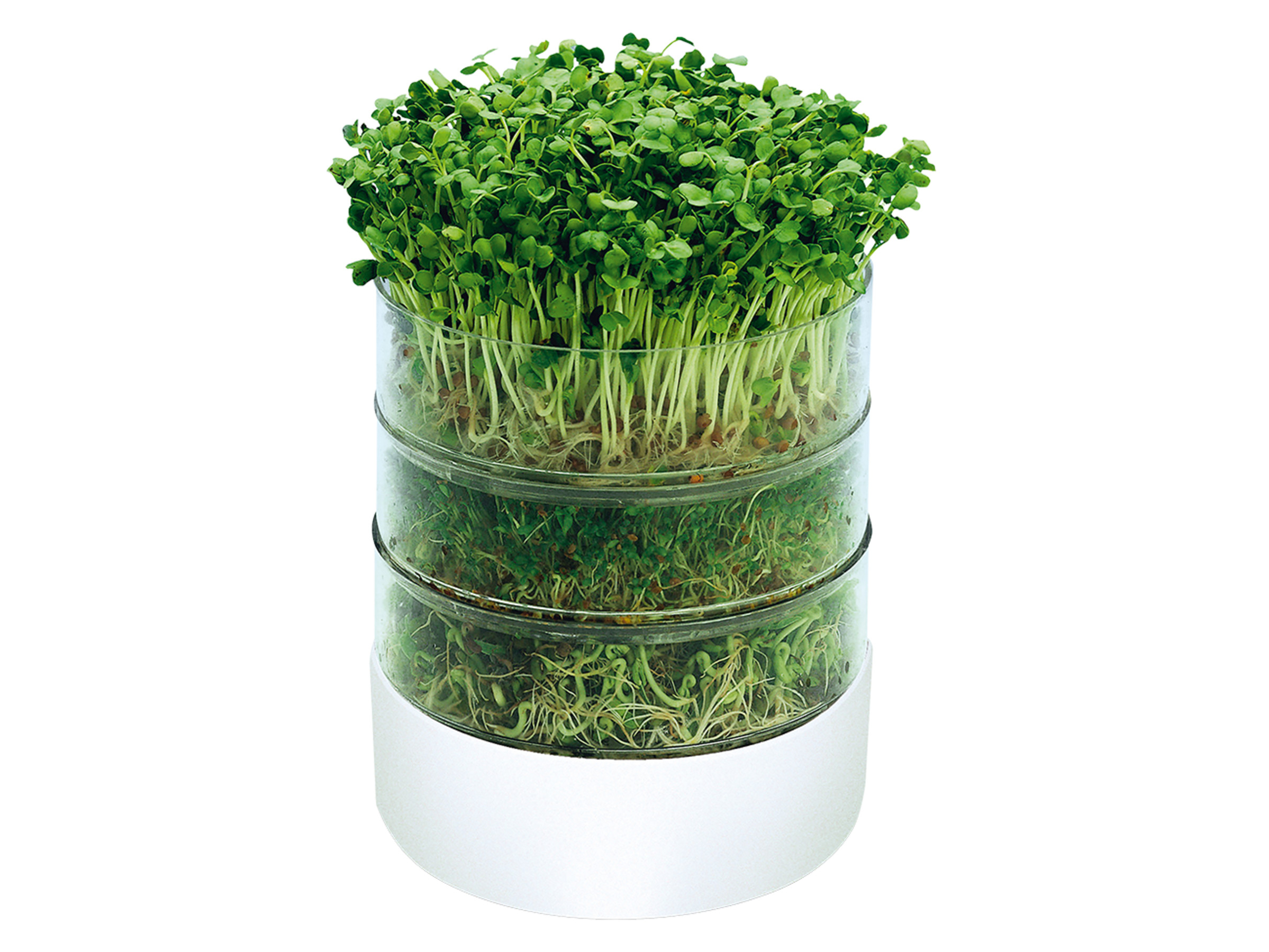 BioSet Posuda za Klijanje – Uzgojite sveže klice brzo i lako! - Slika 2