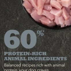 Acana Adult Small Breed – Kompletna hrana za odrasle pse malih rasa