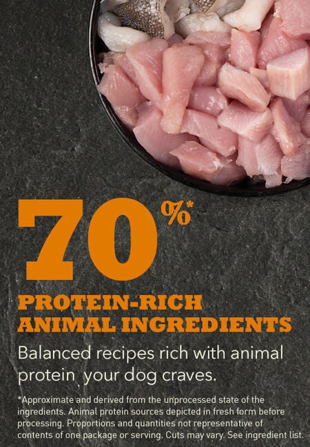 Acana Puppy Large 17kg – Kompletna hrana za štence velikih rasa