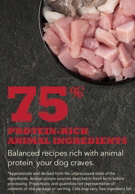 Acana Recipe Sport & Agility 17kg – Kompletna hrana za aktivne pse svih rasa