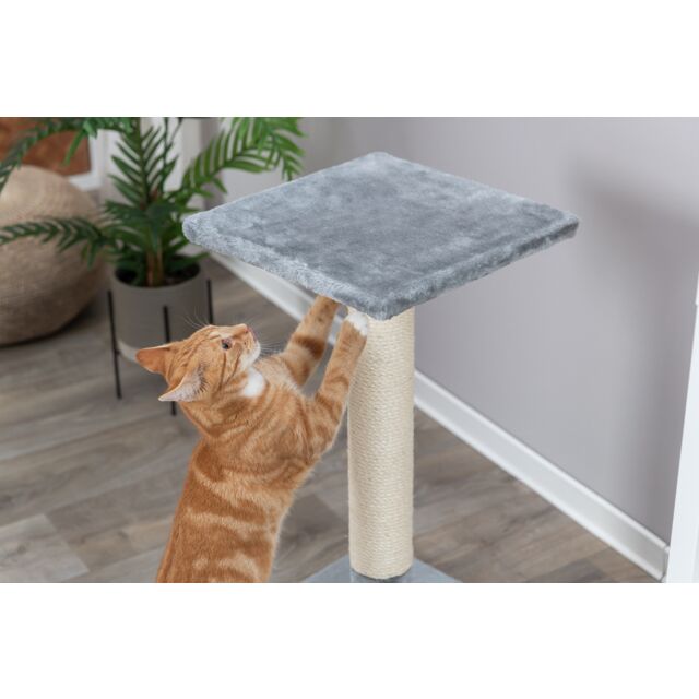 Trixie Grebalica Baena 69cm Siva – Savršen prostor za igru i odmor vaše mačke!