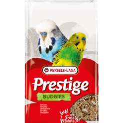 Prestige Budgies