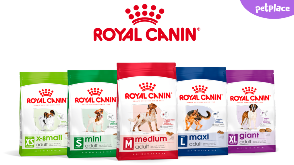 Royal Canin hrana za pse, kompletan vodič: Sve što treba da znate pre nego što je kupite